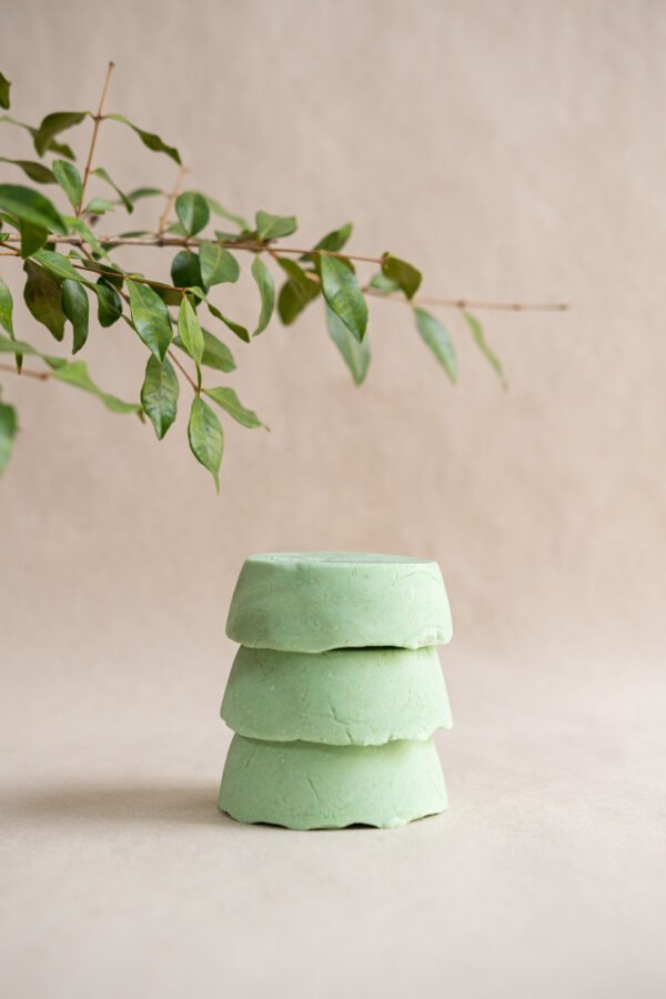 TÉ VERDE - Image 3