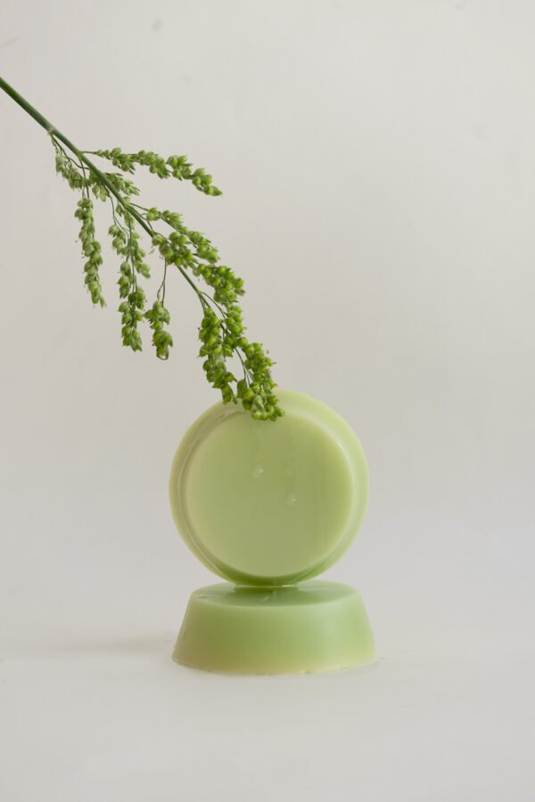 VERDE BOTÁNICO - Image 2